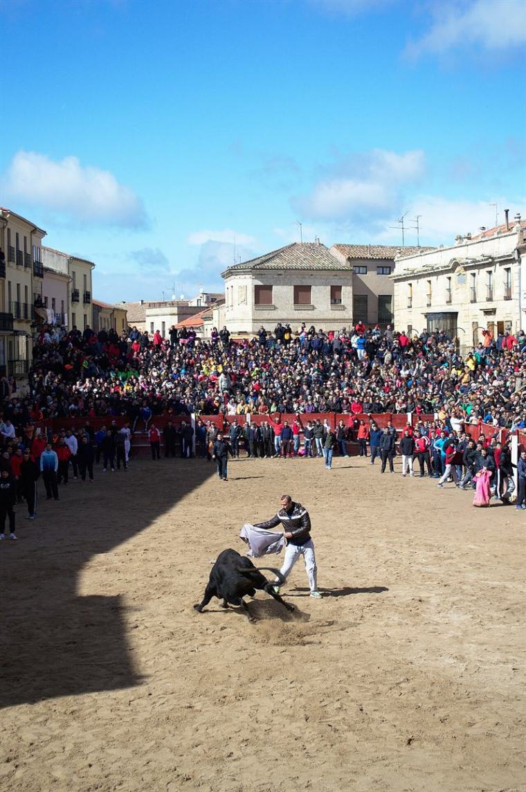 Fiestas de Ciudad Rodrigo