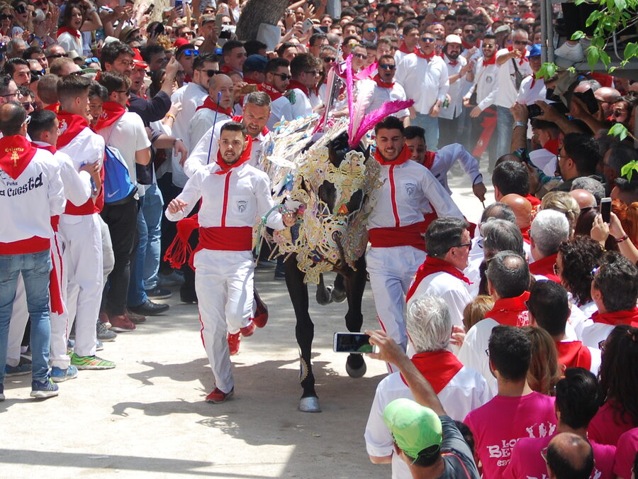 Caballo cubierto con un manto bordado corriendo acompañado por varias personas entre el público