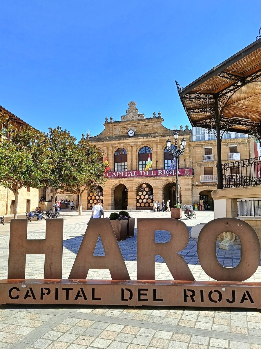 Participantes empapados de vino en la Batalla del Vino de Haro