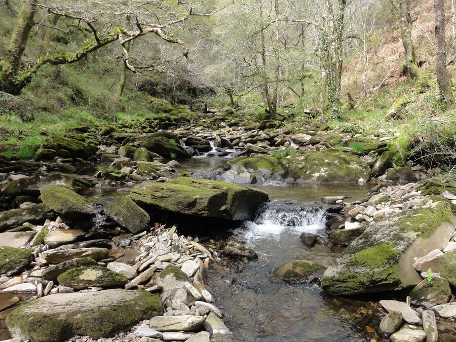 Río Mandeo a su paso por Betanzos