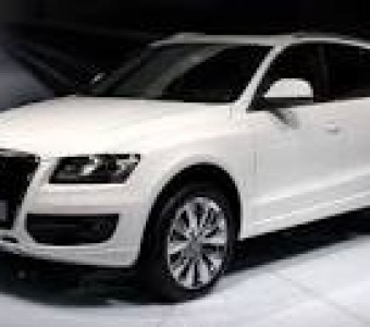 Audi SQ5  2013