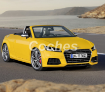 Audi TTS  2014