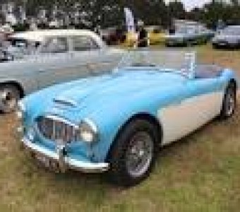 Austin Healey 100  1956