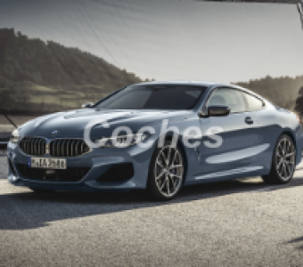 BMW Serie 8  2019