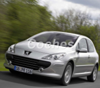 Peugeot 307  2005