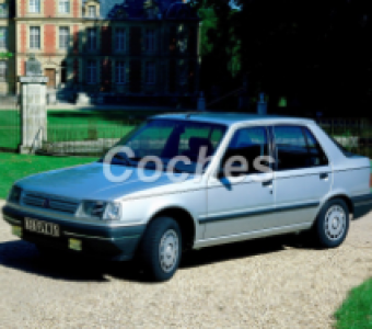 Peugeot 309  1989