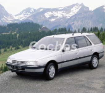 Peugeot 405  1987