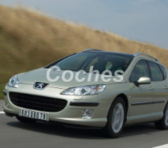 Peugeot 407  2005