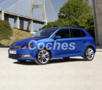 Skoda Fabia  2015