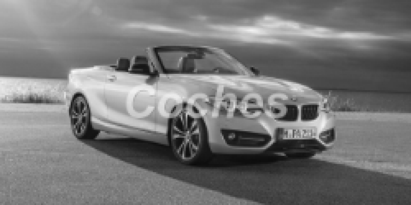 BMW Serie 2 2014 Cabriolet F22 220i 2.0 MANUAL (184 CV)