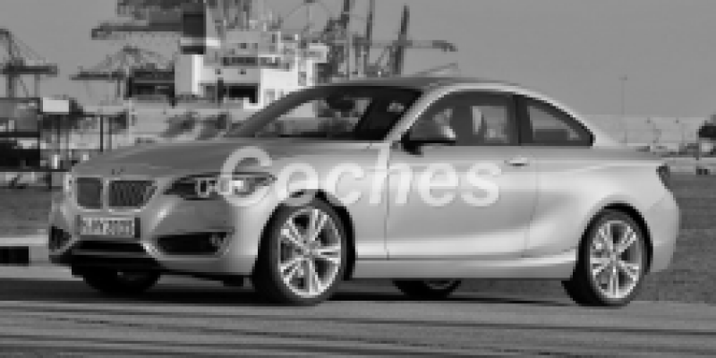 BMW Serie 2 2016 Coupe F22 220d 2.0d MANUAL (190 CV)