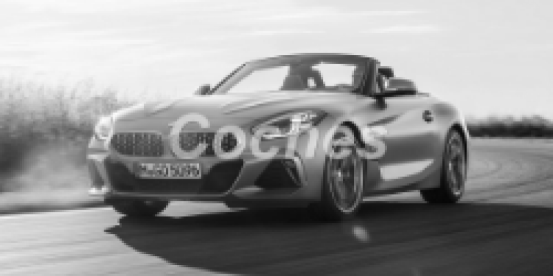 BMW Z4 2018 Roadster III (G29) 30i 2.0 AUTOMATICO (258 CV)