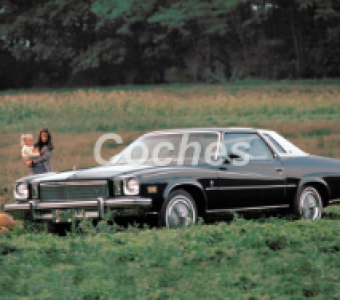 Buick Regal  1976