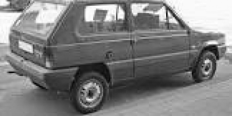 Fiat Panda 2003 Hatchback 3-Puertas I 1.1 MANUAL (50 CV)