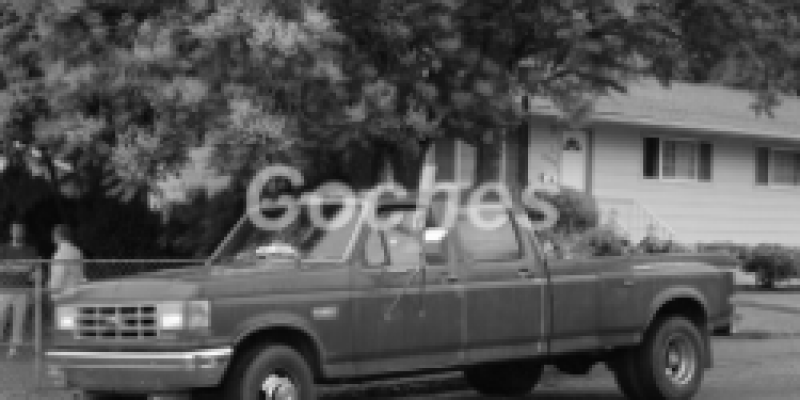 Ford F-150 1989 Pickup Double Cab VIII 4.2 MANUAL (202 CV)