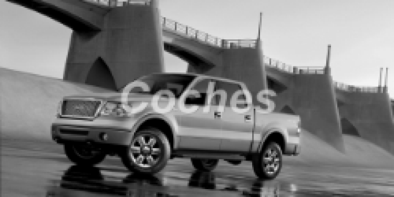 Ford F-150 2005 Pickup Double Cab XI 5.4 AUTOMATICO (304 CV) 4WD