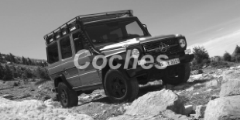 Mercedes-Benz G-klasse 2010 SUV 5-Puertas I (W461) Professional 300 Professional 3.0d AUTOMATICO (184 CV) 4WD