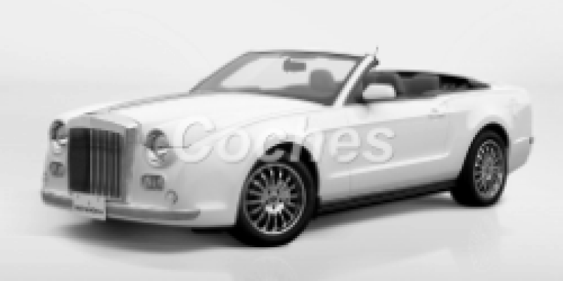Mitsuoka Galue 2010 Cabriolet III 4.6 AUTOMATICO (304 CV)