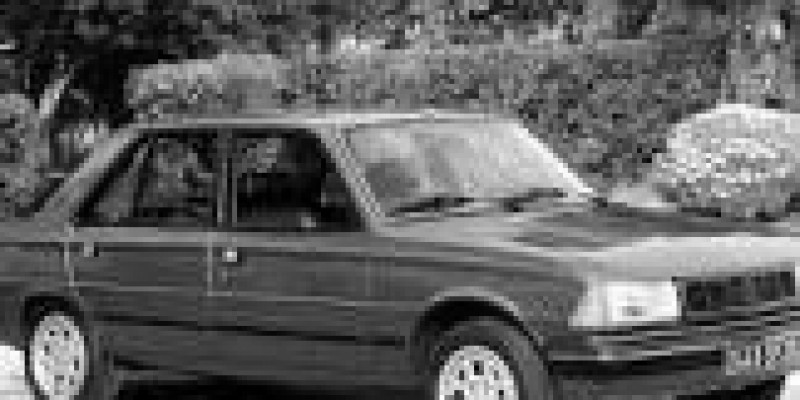 Peugeot 305 1988 Sedan 305 1.9 MANUAL (98 CV)