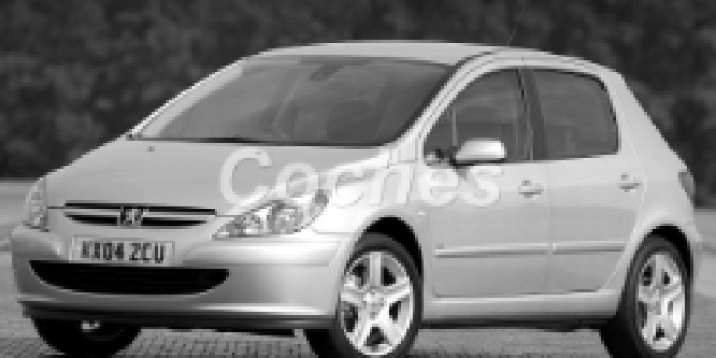 Peugeot 307 2005 Hatchback 5-Puertas I 2.0 MANUAL (137 CV)