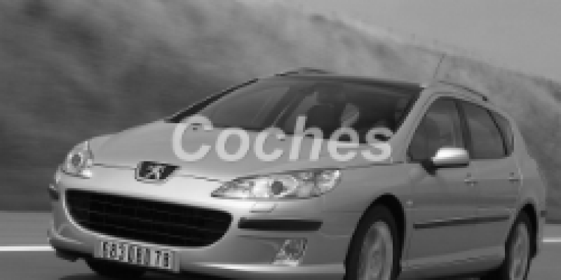 Peugeot 407 2004 Wagon 5-Puertas 407 2.2 MANUAL (160 CV)