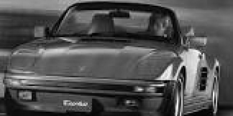 Porsche 911 1988 Roadster II (911, 930) Carrera 3.2 MANUAL (231 CV)