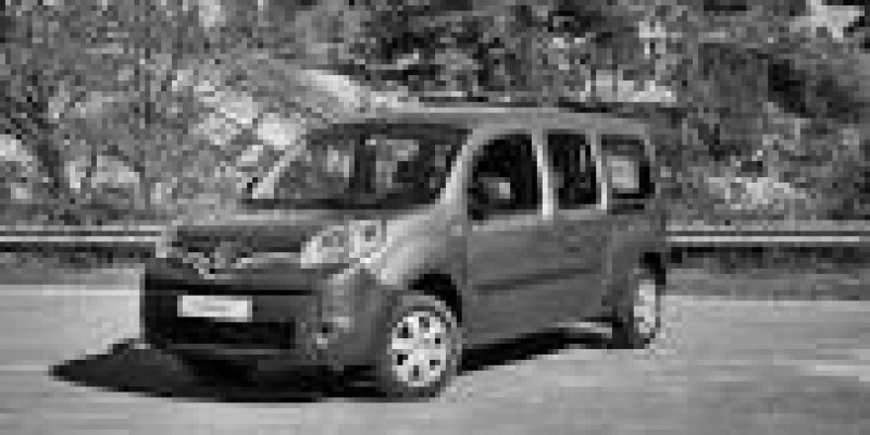 Renault Kangoo 2016 Van II Restyling 1.5d MANUAL (110 CV)