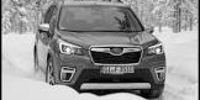 Subaru Forester 2020 SUV 5-Puertas V 2.0hyb CVT (145 CV) 4WD